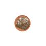Teller flach 15cm crab burnt orange Icon