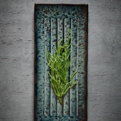 Serving dish 36x15xH2cm seaweed Umi