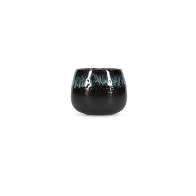 Cup 18cl seaweed Umi