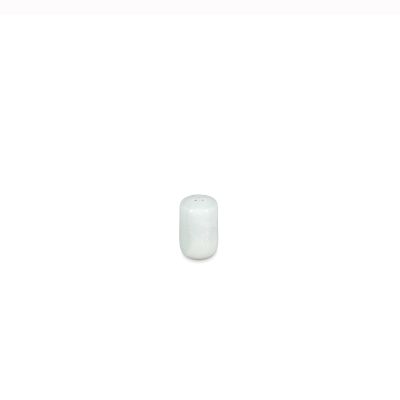 Salt shaker 4xH7cm frost white Ceres